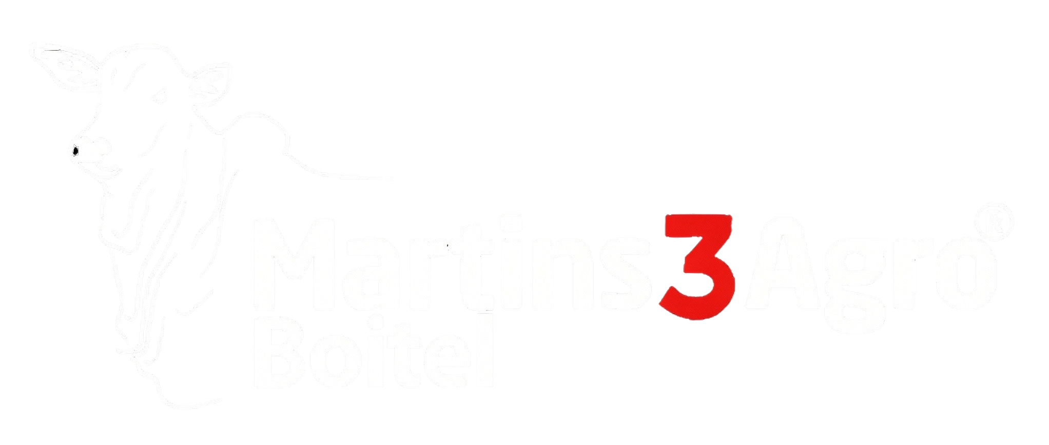 Martins3Agro Boitel
