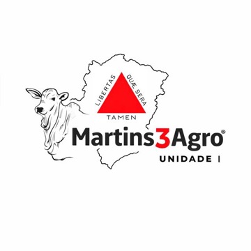 Logo Uberlândia / MG